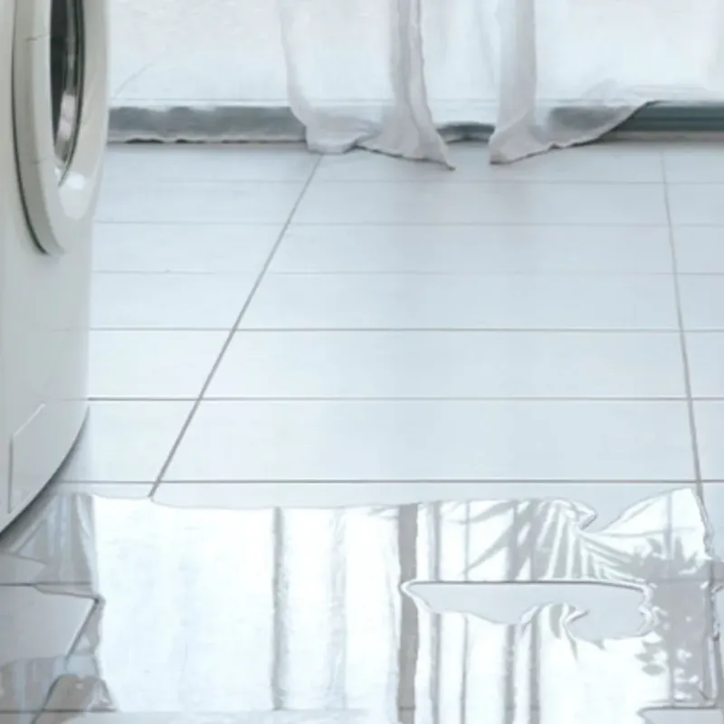 Appliance Leak Cleanup in North Vacherie, LA