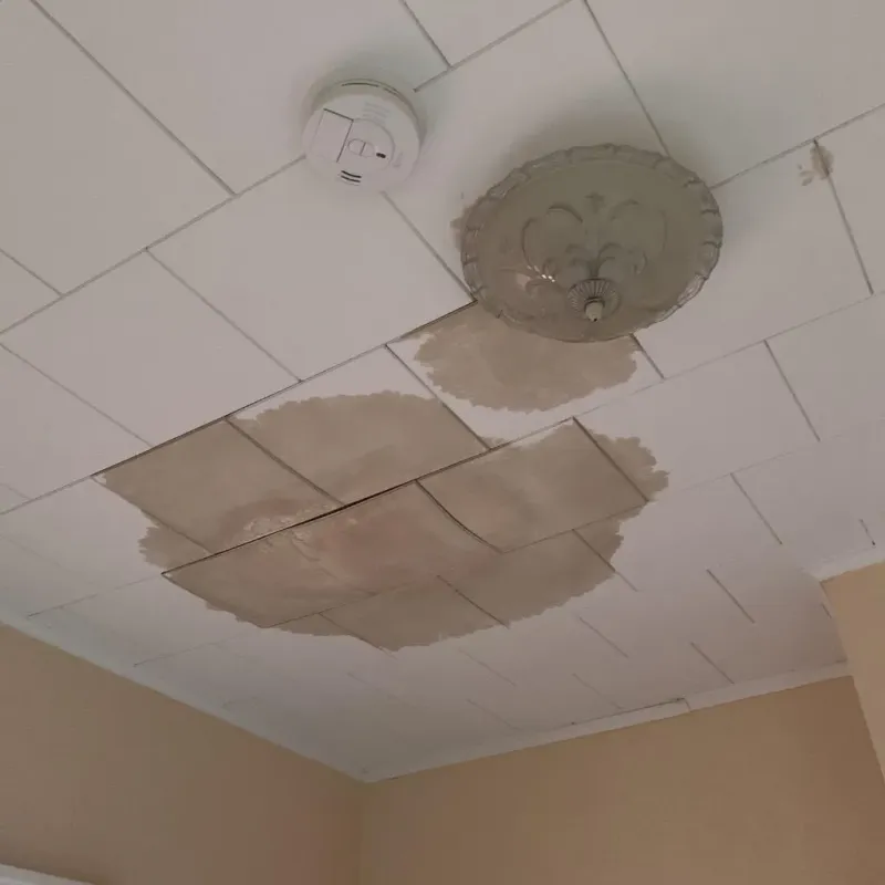 Ceiling Water Damage Repair in North Vacherie, LA
